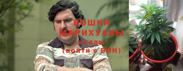 прущие грибы Балахна