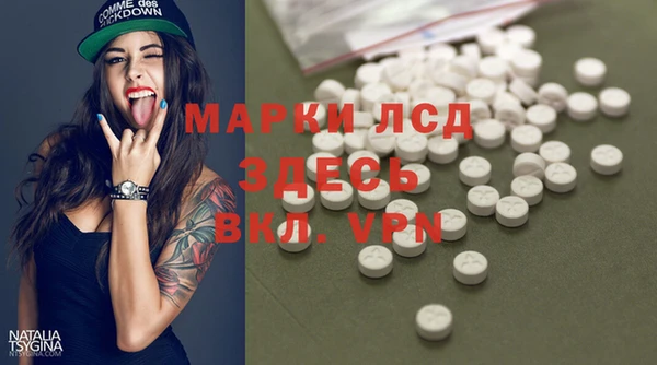 прущие грибы Балахна
