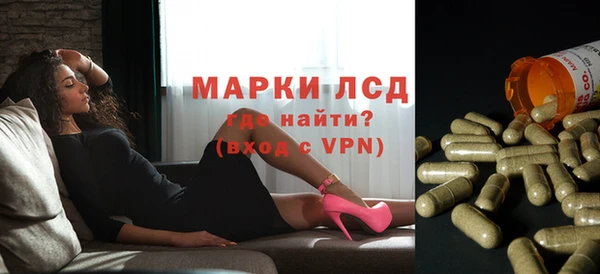 прущие грибы Балахна
