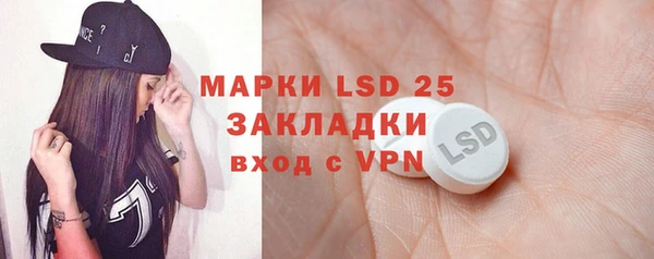 прущие грибы Балахна