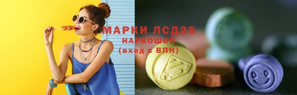 прущие грибы Балахна