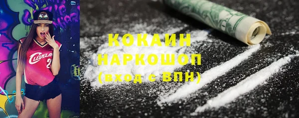 прущие грибы Балахна