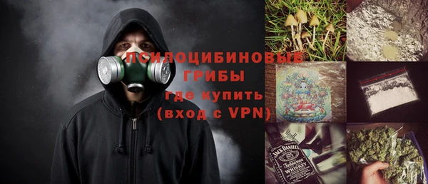прущие грибы Балахна
