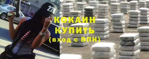 прущие грибы Балахна