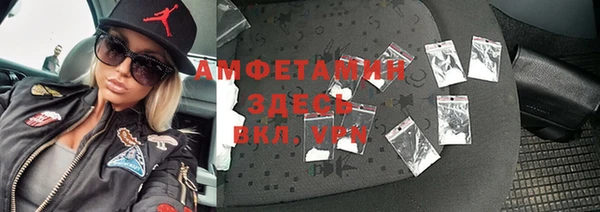 прущие грибы Балахна