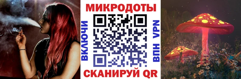 Псилоцибиновые грибы Psilocybine cubensis  наркота  мега ССЫЛКА  Северо-Курильск 